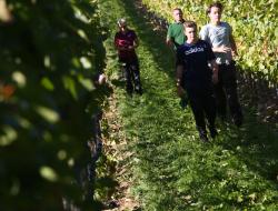 Schüler und LehrerInnen im Weingarten