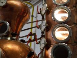 Brennkessel mit Verstärkerkolonne