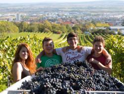 Lese am "Feiersteig"