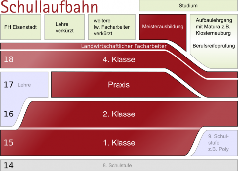 Variante des Einstiegs, Durchlaufs sowie Möglichkeiten nach Abschluss der Weinbauschule Eisenstadt