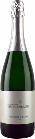 0,75 l Flasche Sauvignon blanc Sekt